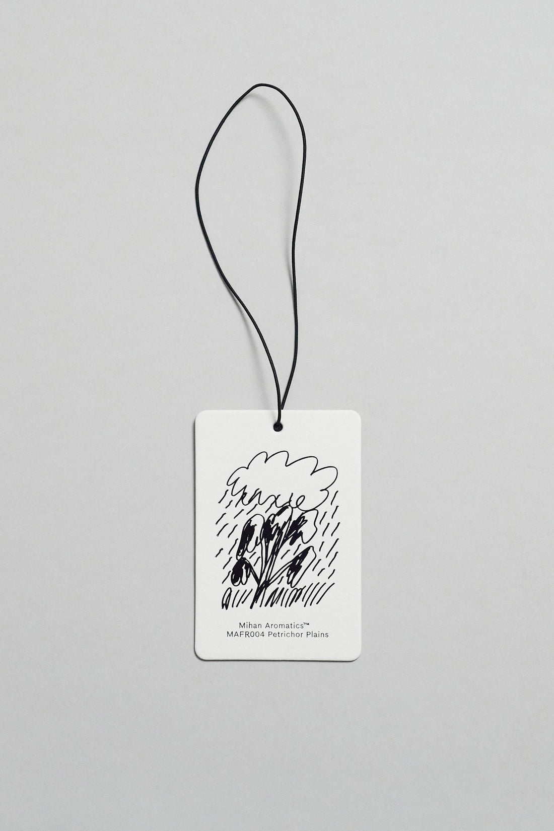 AIR FRAGRANCE - PETRICHOR PLAINS